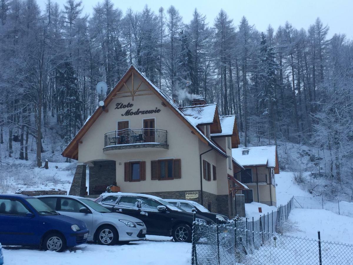 Zlote Modrzewie Duszniki Zdrój Exterior foto