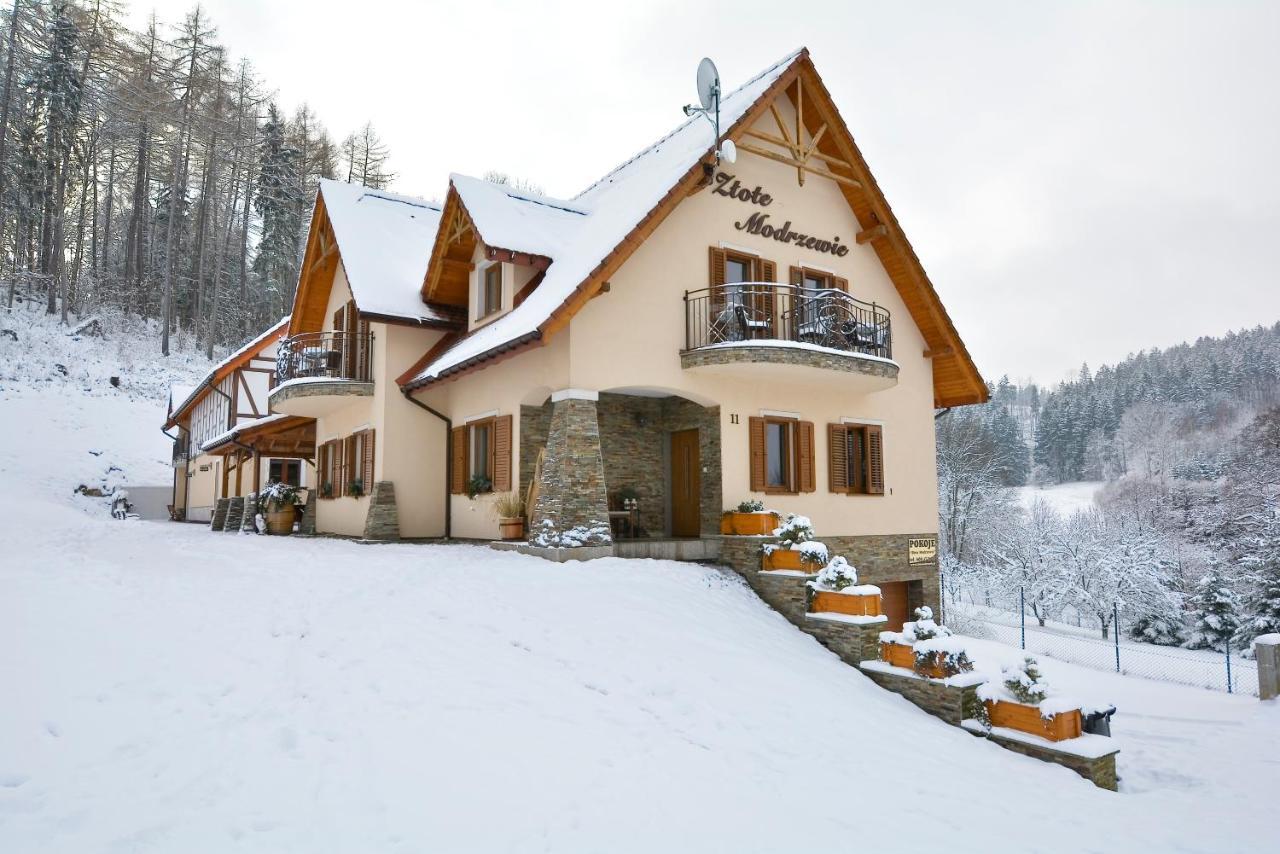 Zlote Modrzewie Duszniki Zdrój Exterior foto